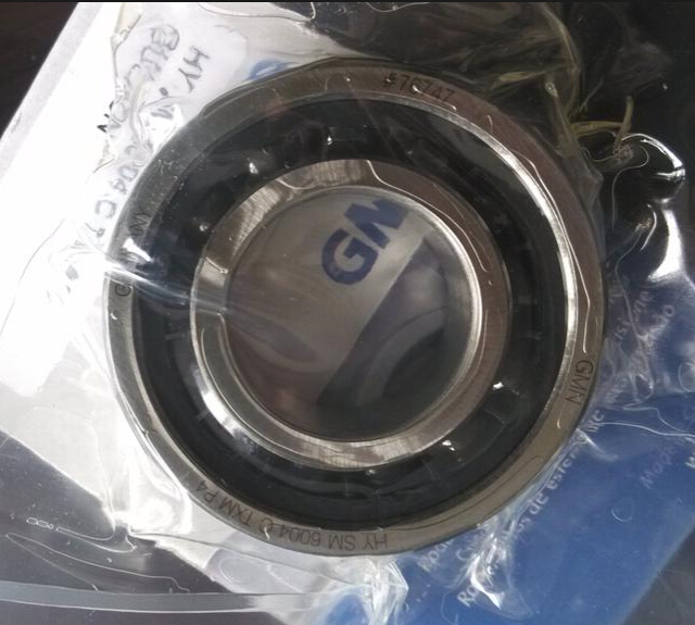 GMN HYSM6004CTXMP4DUL軸承
