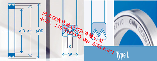 GMNL200X230X20油封圖紙